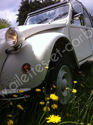 ailettes-et-carbus 2cv6 special E 8