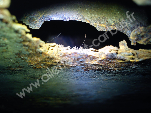 renfort-interrieur-chssis-avt-gauche_Copier