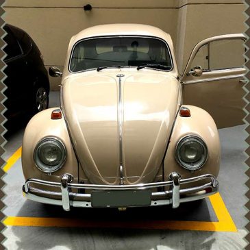 Coccinelles - Combis