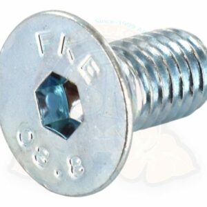 VIS FIXATION PORTE HAYON GÂCHE COMBI T3